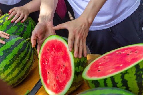 娱乐吃瓜大英子,揭秘娱乐圈幕后故事